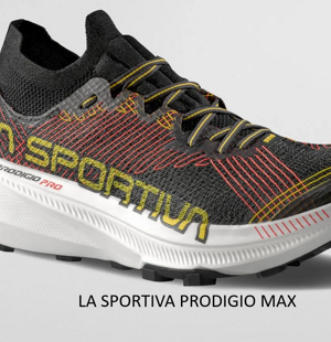 zfrs081_b42b43_zfrs081b42b4338