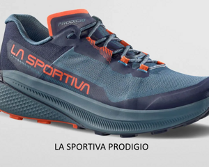 zfrs100_k00y00__zfrs100k00y0040