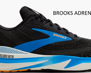 110437-458-l-adrenaline-gts-24-mens-supportive-cushion-running-shoe