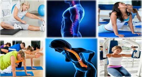 Fisio-Movimento - Studio Fisioterapico - Esercizi Posturali, Funzionali, Teraupetici e Correttivi del Movimento - Mestre e Treviso