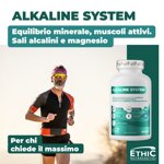 alkaline-system