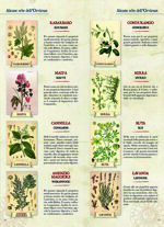 the-orvietan-macerated-medicinal-herbs-bernardini-lamberto