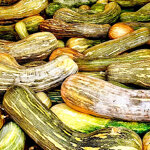 vellutata-di-zucca-e-tartufo-br-quintosapore