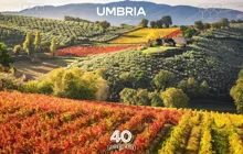 umbria-vini-tre-bicchieri-2027-gambero-rosso-768x489