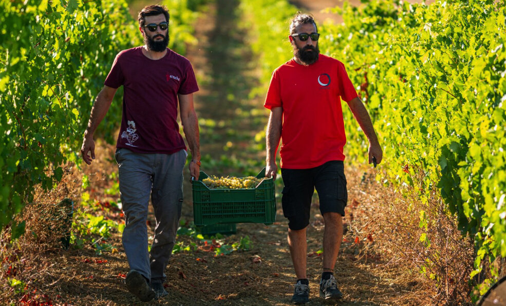 la famiglia Adanti a Montefalco produce uno dei migliori Sagrantini dell'Umbria, l'Arquata