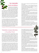 andromaco-red-wine-and-medicinal-herbs-bernardini-lamberto