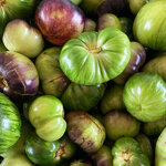 pomodori-verdi-sottolio-br-quintosapore