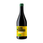 carmu-igt-br-alma-raminga