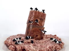 what is a burger made of