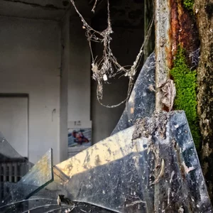 Fragment of broken glass covered in cobwebs and dust, next to a rusted surface with green moss, inside an abandoned interior space Fragment of broken glass covered in cobwebs and dust, next to a rusted surface with green moss, inside an abandoned interior space