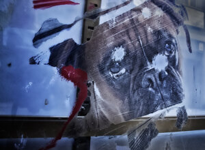 poster di cane, bulldog su manifesto,