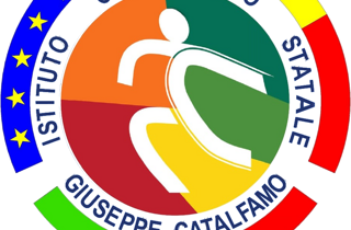 photo 6 lovid-19-turtle-studio.jpeg