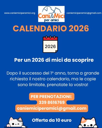 calendario 2026.jpeg
