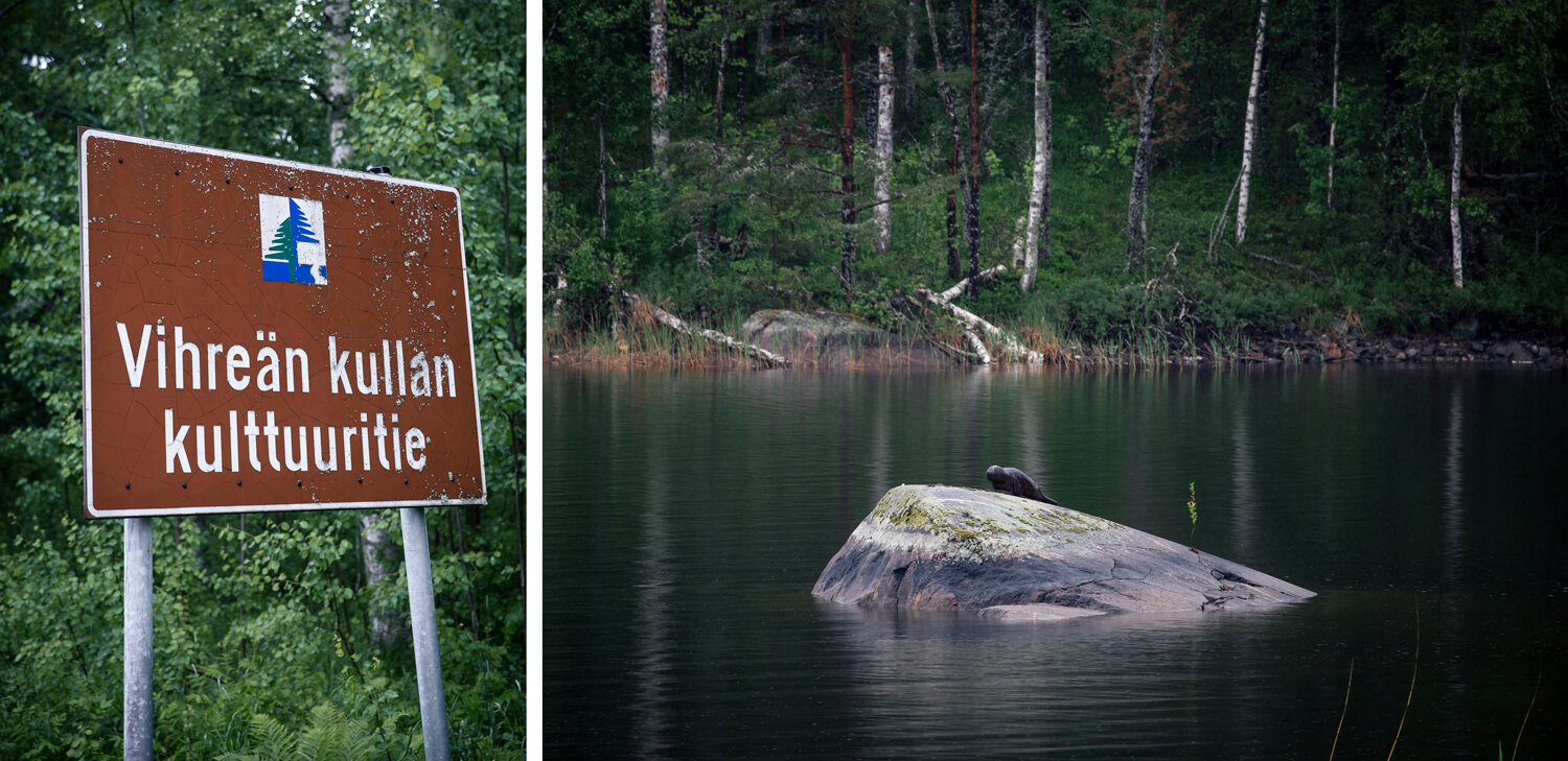 foche-saimaa.jpeg foche-saimaa.jpeg