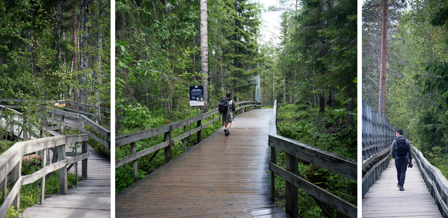 ranua-wildlife-park.jpeg ranua-wildlife-park.jpeg