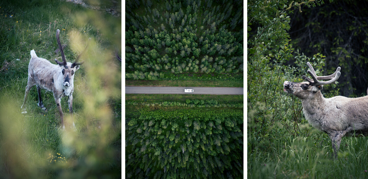 strade-panoramiche-finlandia.jpeg strade-panoramiche-finlandia.jpeg