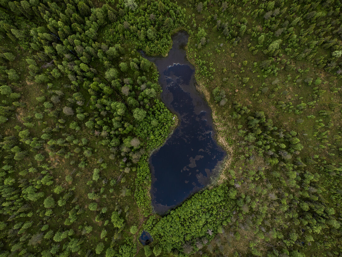 lago-finlandia.jpeg lago-finlandia.jpeg