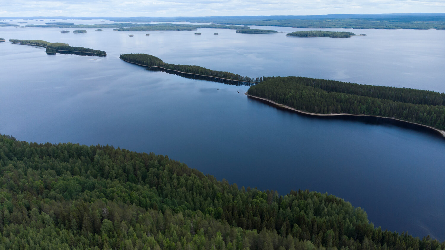 koli-finlandia.jpeg koli-finlandia.jpeg