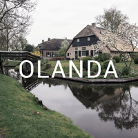 olanda.jpeg