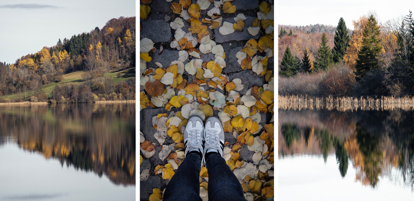 borgogna-in-autunno.jpeg borgogna-in-autunno.jpeg