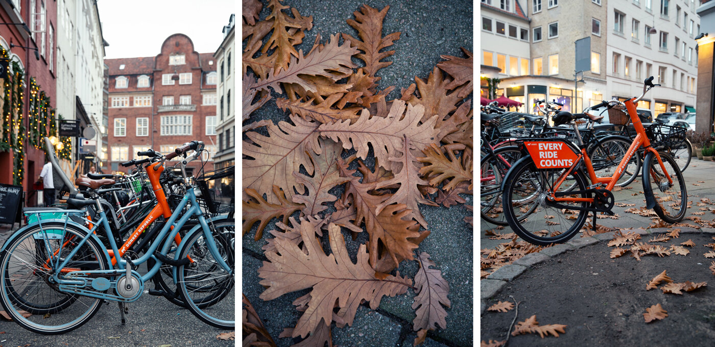 noleggio-bici-copenhagen.jpeg