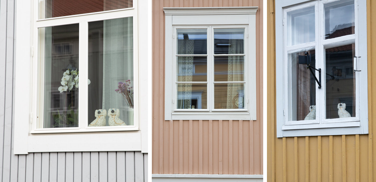 kokkola-cani-porcellana.jpeg kokkola-cani-porcellana.jpeg