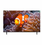 tv-majestic-43