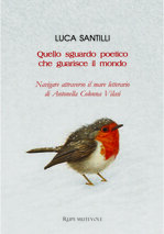 quello-sguardo-poetico-che-guarisce-il-mondo-di-luca-santilli