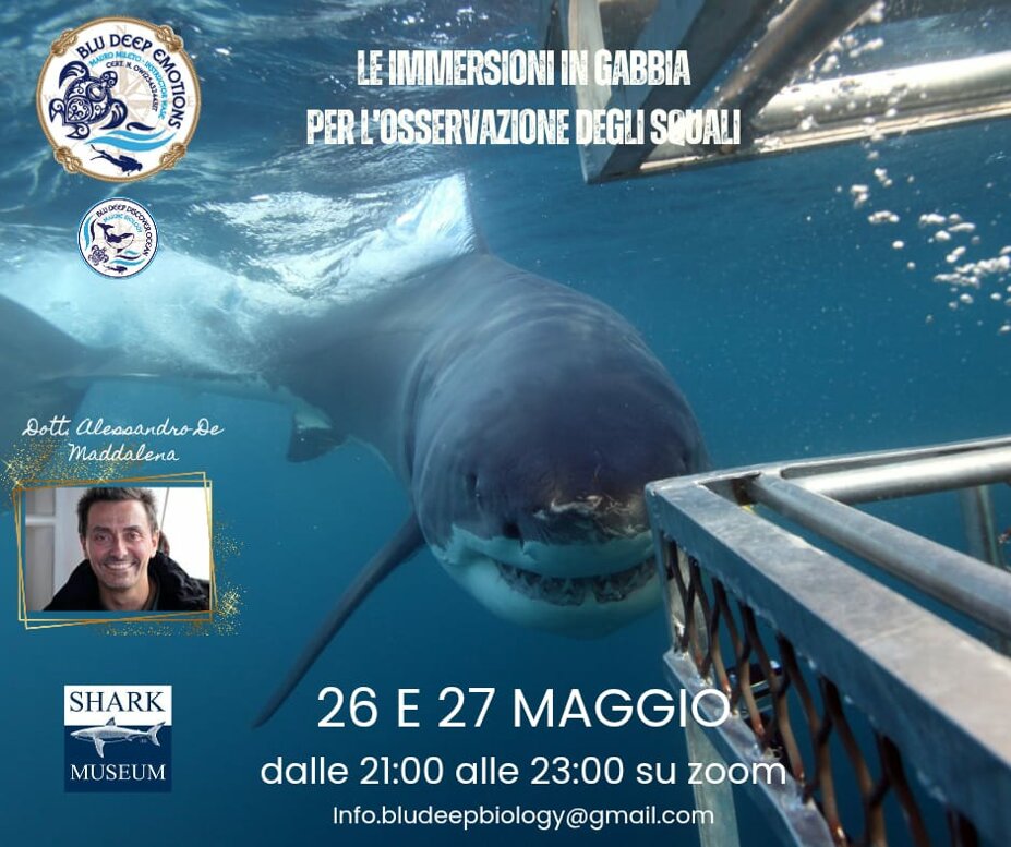 immagine whatsapp 2025-05-13 ore 13.41.09_f1f7ad79.jpeg immagine whatsapp 2025-05-13 ore 13.41.09_f1f7ad79.jpeg