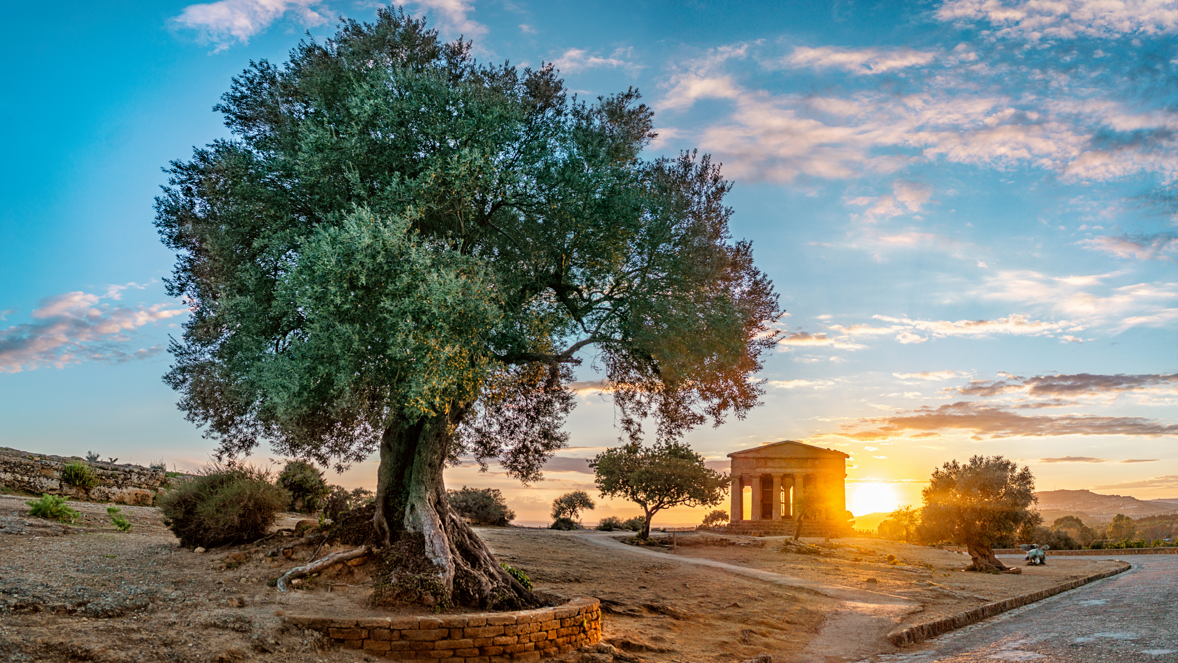 Incoming Tour Operator in Sicily