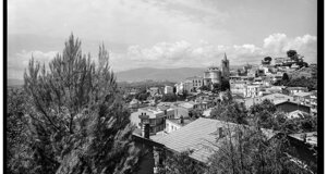 amr01711-12-13+m.jpeg amr01711-12-13+m.jpeg