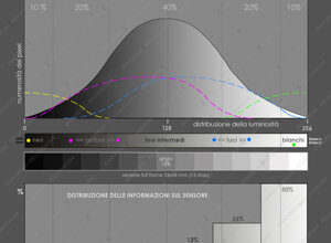 rapporto%20tra%20gamma%20dinamica%20scena%20e%20sensore%20wm.jpeg