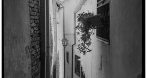 amr01756-57-58.jpeg amr01756-57-58.jpeg