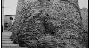 amr01720-21-22.jpeg amr01720-21-22.jpeg