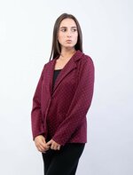 blazer-strass-2-colori