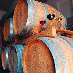 whatsapp image 2026-04-08 at 16.24.14 (1).jpeg