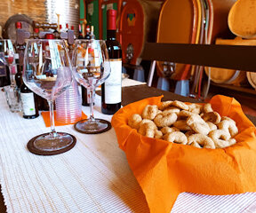 whatsapp image 2026-04-08 at 16.24.14.jpeg