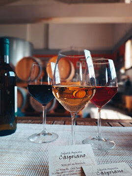 whatsapp image 2026-04-08 at 16.24.13.jpeg