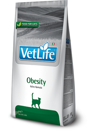 vet-life-cat-natural-diet-obesity