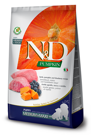 nd-pumpkin-dog-agnello-e-mirtillo-puppy-mediummaxi