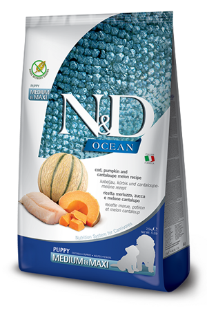 nd-ocean-dog-merluzzo-zucca-cantalupo-puppy-medmaxi