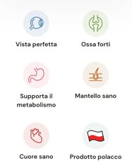 buste frendi.jpeg buste frendi.jpeg