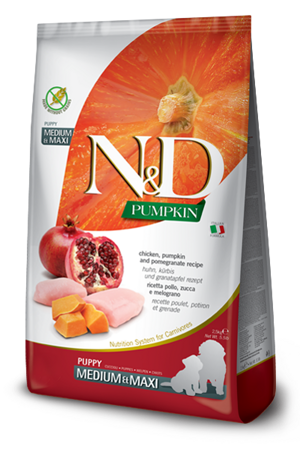 nd-pumpkin-dog-pollo-e-melograno-puppy-mediummaxi