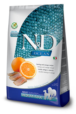 nd-ocean-dog-aringa-e-arancia-adult-mediummaxi