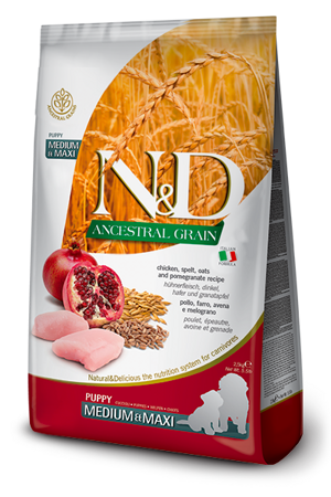 nd-ancestral-pollo-e-melograno-puppy-mediummaxi
