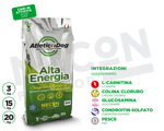 necon-atletic-dog-alta-energia