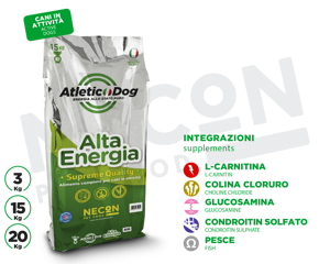 necon-atletic-dog-alta-energia