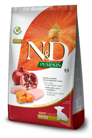 nd-pumpkin-dog-pollo-e-melograno-puppy-mini