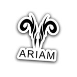 adesivi-logo-ariam