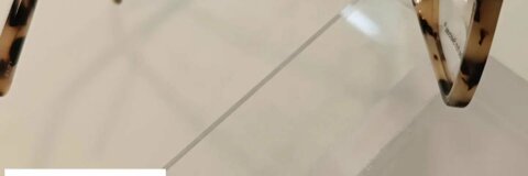 262001520_431999251664947_8924606578218178862_n